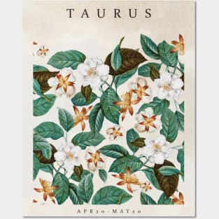 TAURUS Posters and Art